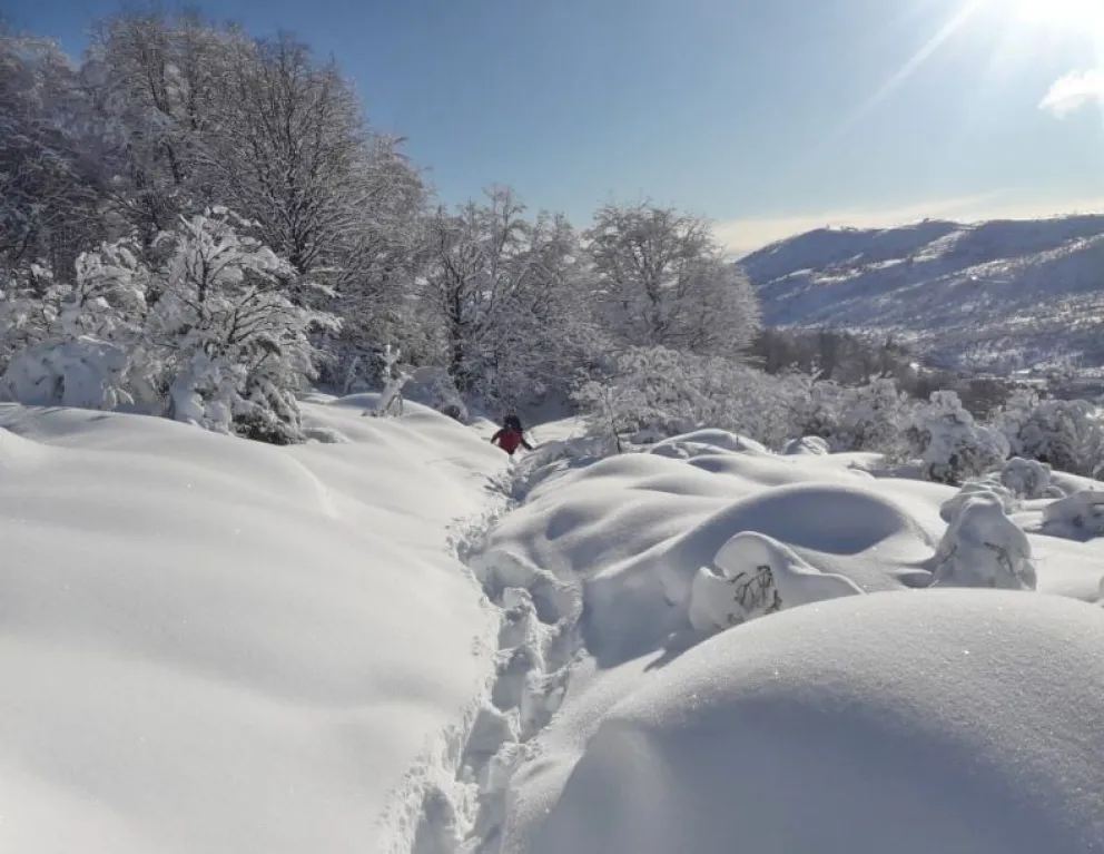 Parques pide precaución al circular por anuncio de fuertes nevadas