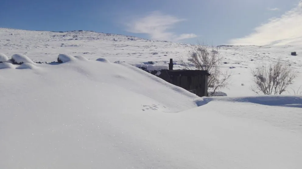 Comunidades enteras quedaron aisladas como consecuencia del temporal de nieve en la región