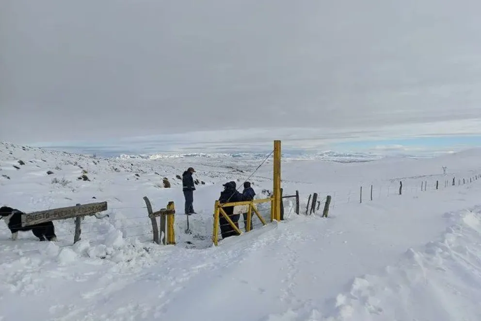 Veteranos de Malvinas llevan donaciones a la Línea Sur