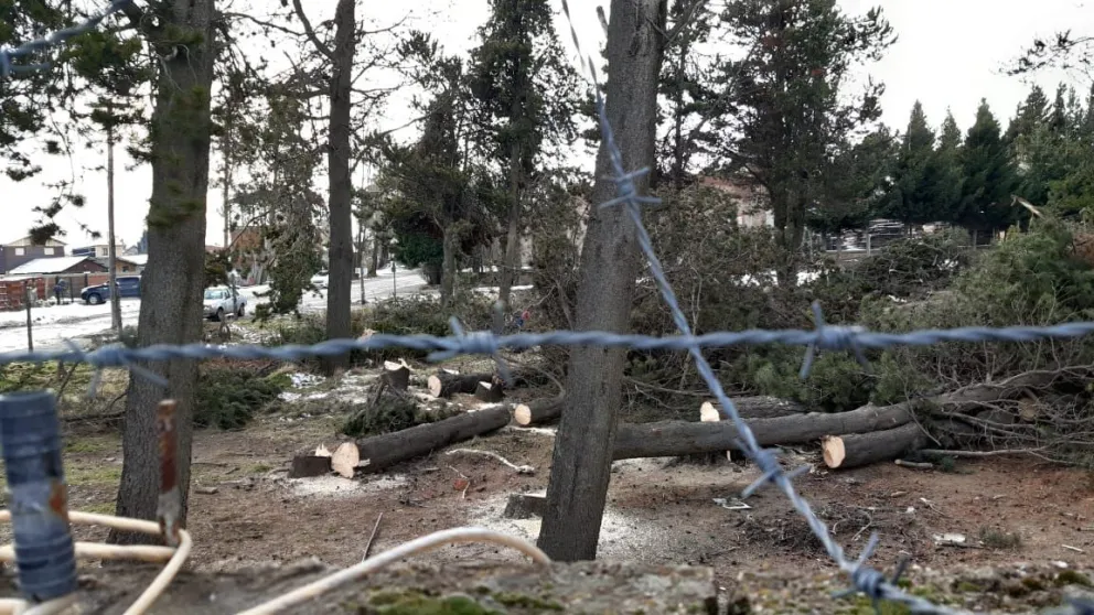 Vecinos de Ex-Coovigast preocupados por el avance de las tomas