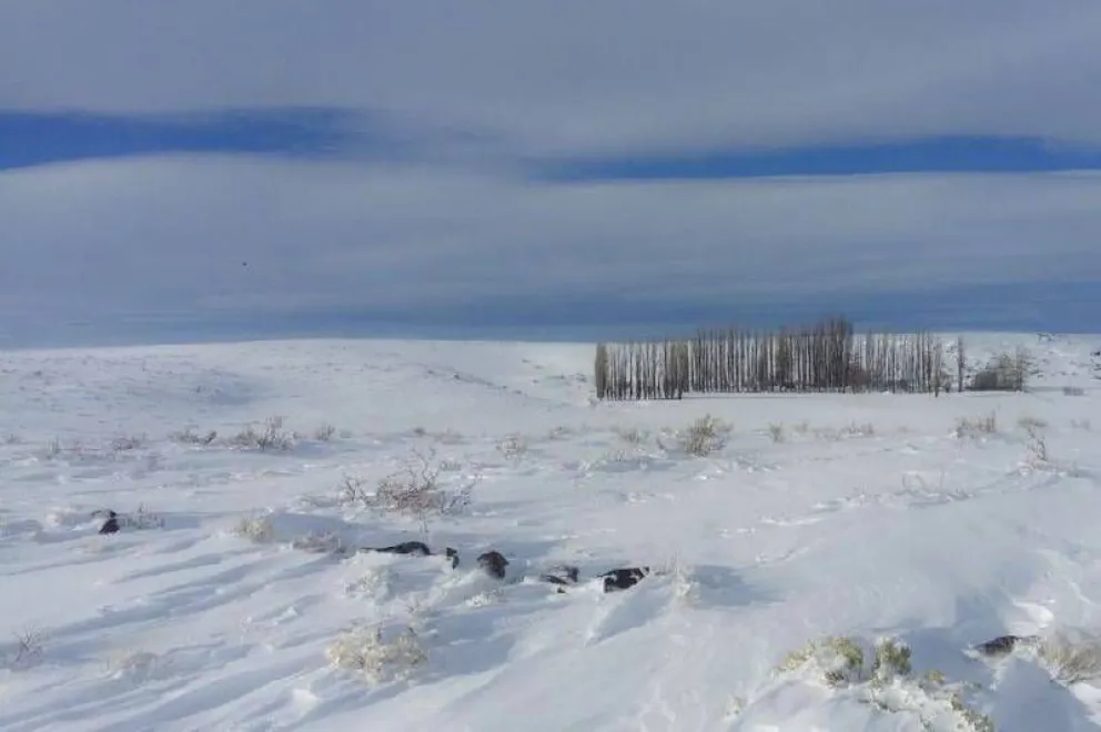 Lograron rescatar el cuerpo del anciano fallecido en cercanías de Laguna Blanca