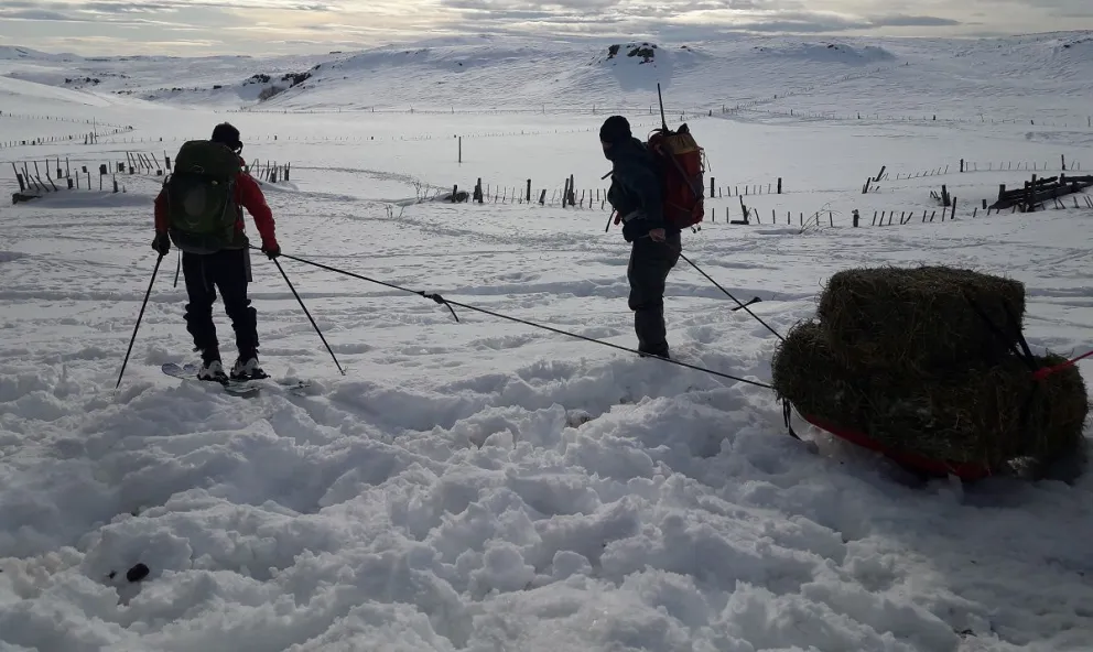 En medio de la nieve, acercaron su ayuda a las familias rurales de la Estepa Patagónica