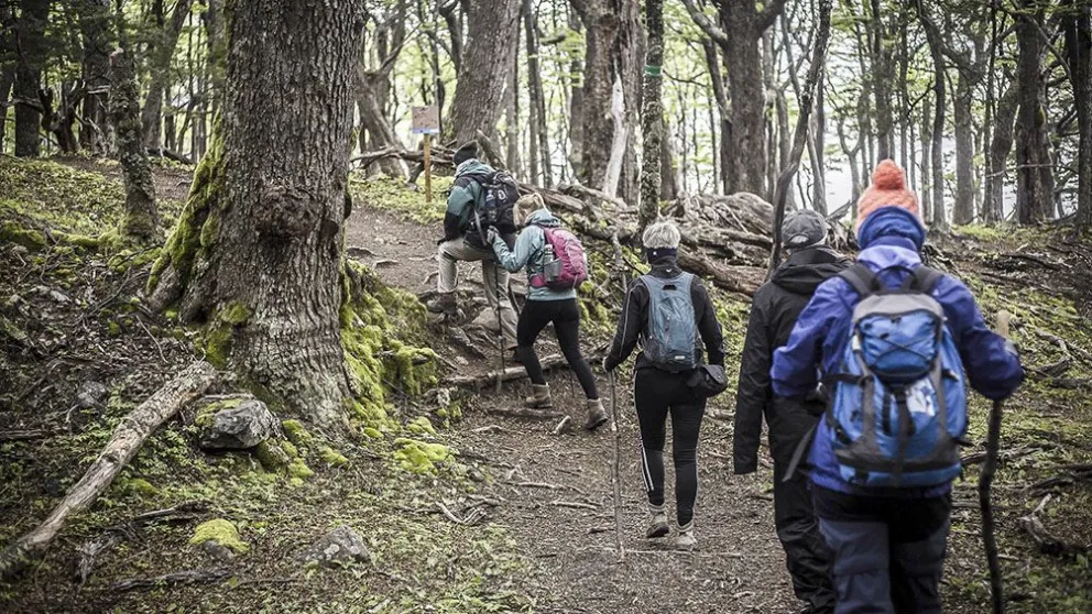 Los guías turísticos diseñan su profesión post pandemia con sellos de calidad