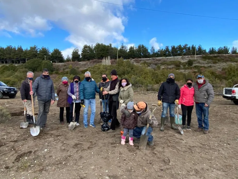 El Este se llenó de árboles nativos