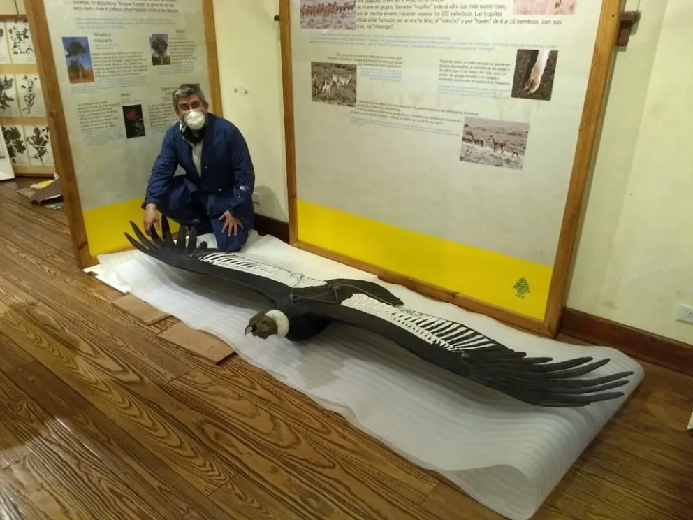 Reformarán el edificio del Museo de la Patagonia