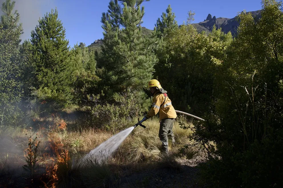 Trabajadores del Splif aseguran que se encuentran en “estado de abandono”