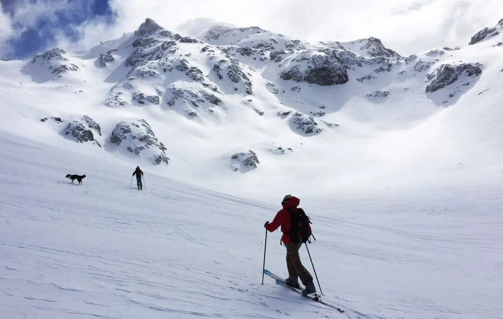 Informe acerca del estado de la causa "Baguales”