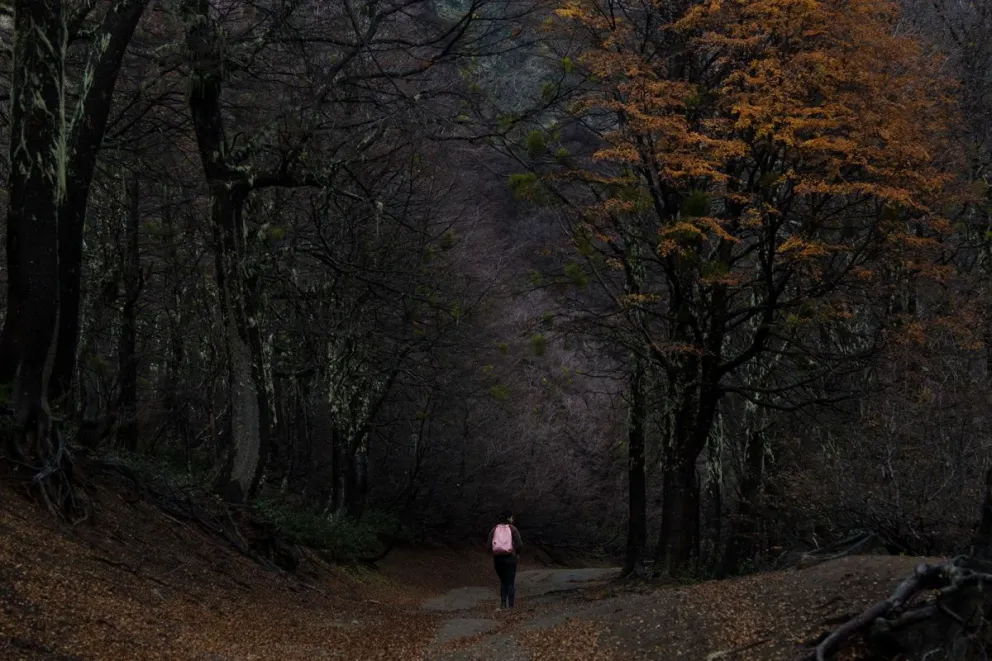 Consejos para salir a la montaña y prevenir accidentes