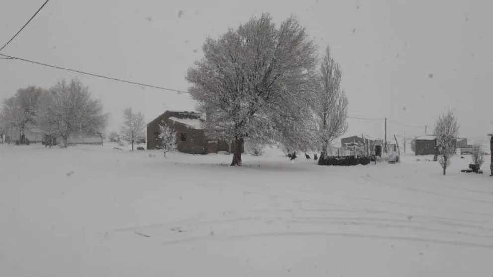 La Mesa de Emergencia Territorial Mapuche fortalece los Bancos de Forraje para las zonas afectadas por la nevada