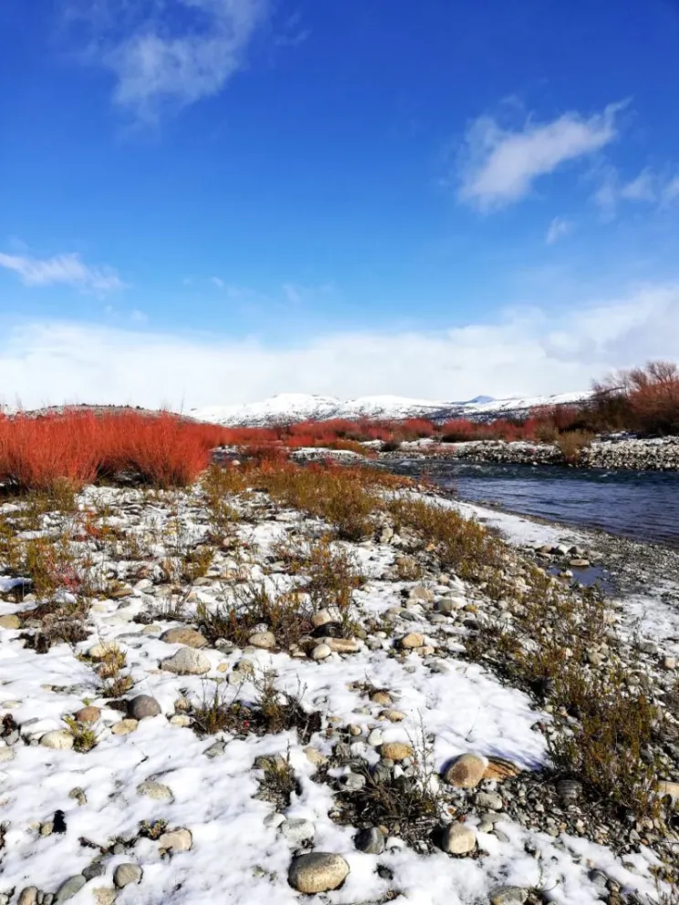 Quieren crear un área natural protegida en el río Ñirihuau