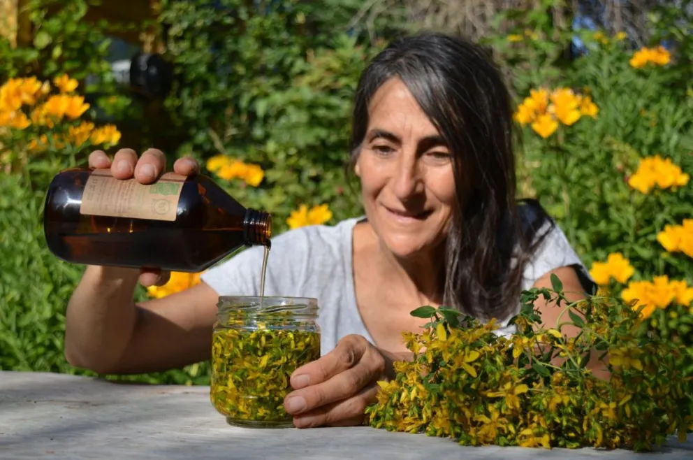 Primavera: Época para revisar la alimentación y ganar salud