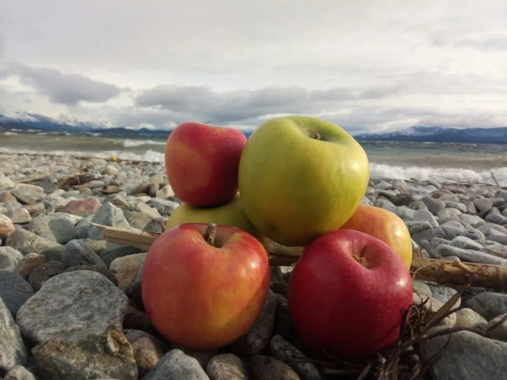 Mercado Itinerante vuelve a Playa Bonita