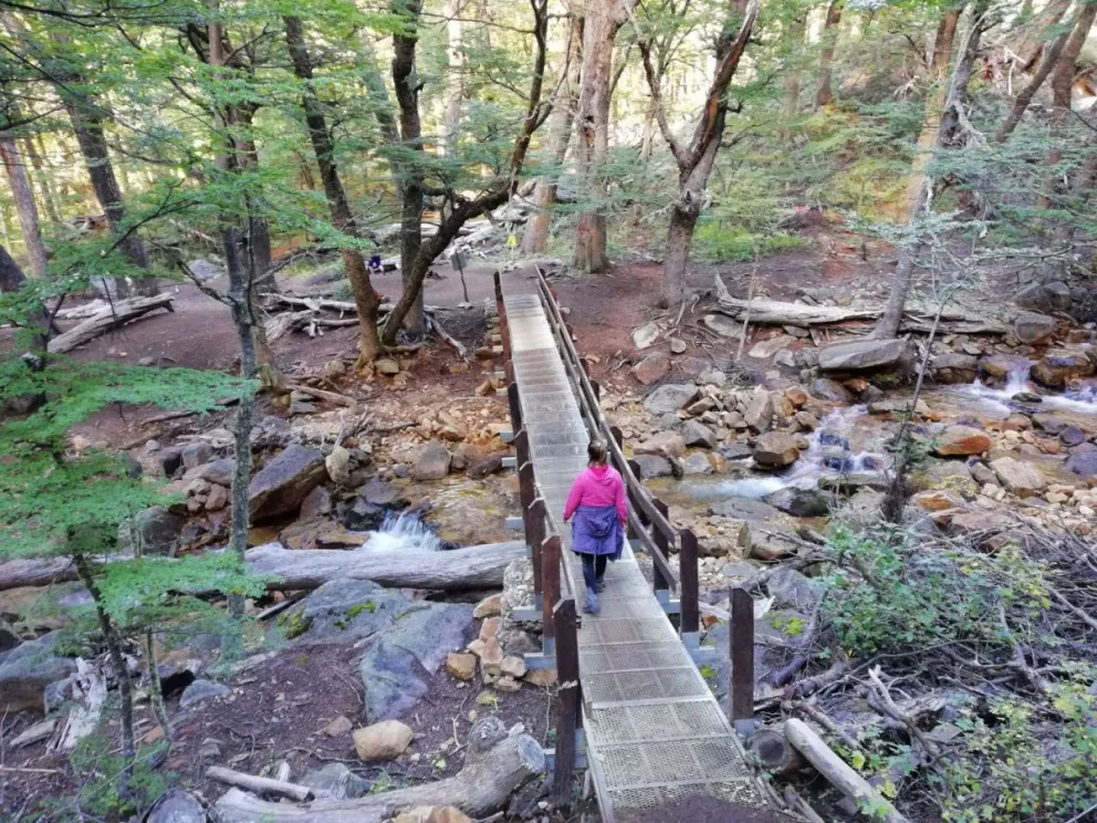 Encontraron a la pareja que buscaban: estaba durmiendo en el refugio