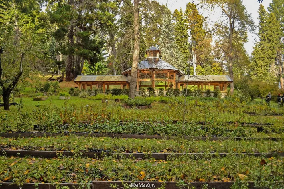 El jardín botánico de isla Victoria fue reconocido por el Senado