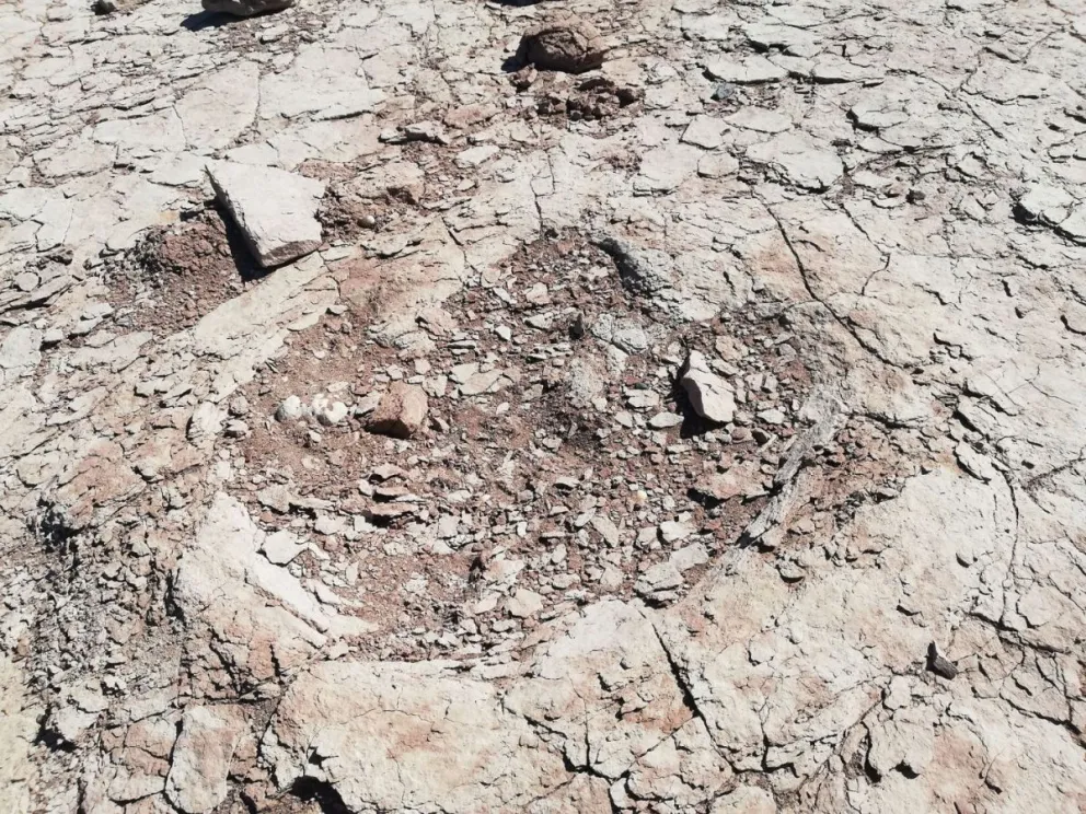 Hallazgo en la Patagonia: Prefectura encontró huellas de dinosaurio