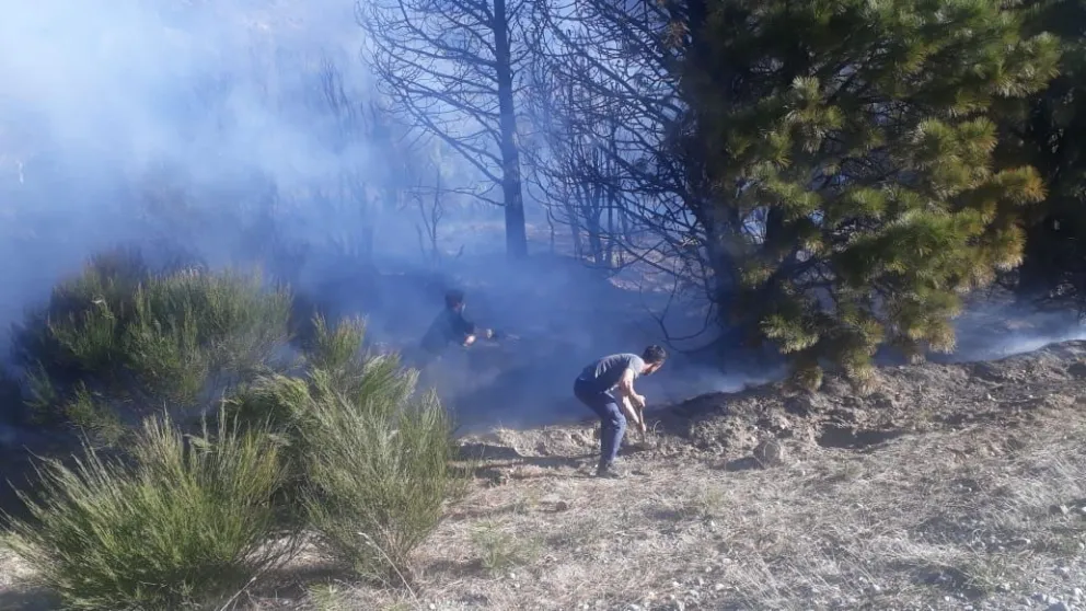 Incendio forestal a la vera de ruta 40