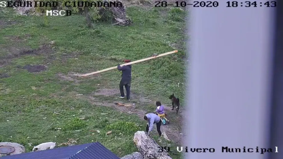 Nuevo robo en el vivero municipal