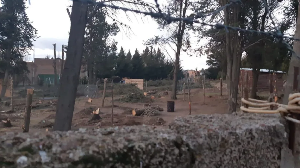 Toma en ex Coovigast: “Hay un mal manejo por parte de las autoridades”