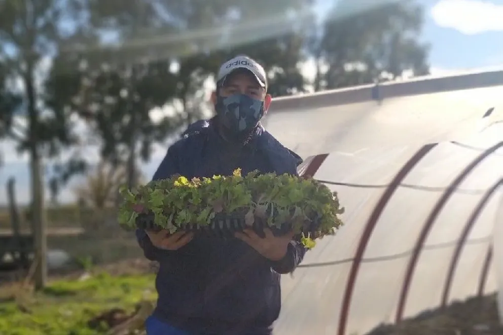 Más de 100 familias se capacitan con el programa Invernaderos