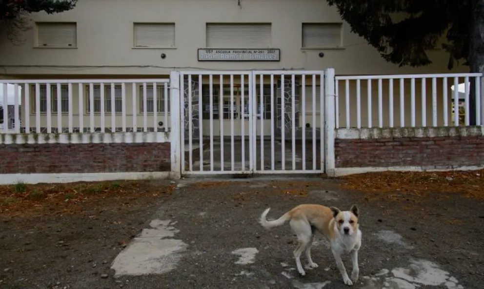 Las clases en 2021: cada provincia decidirá cómo y cuándo comenzará el ciclo lectivo