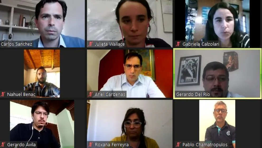 Avanza el proyecto que promueve el autocultivo y uso medicinal del cannabis