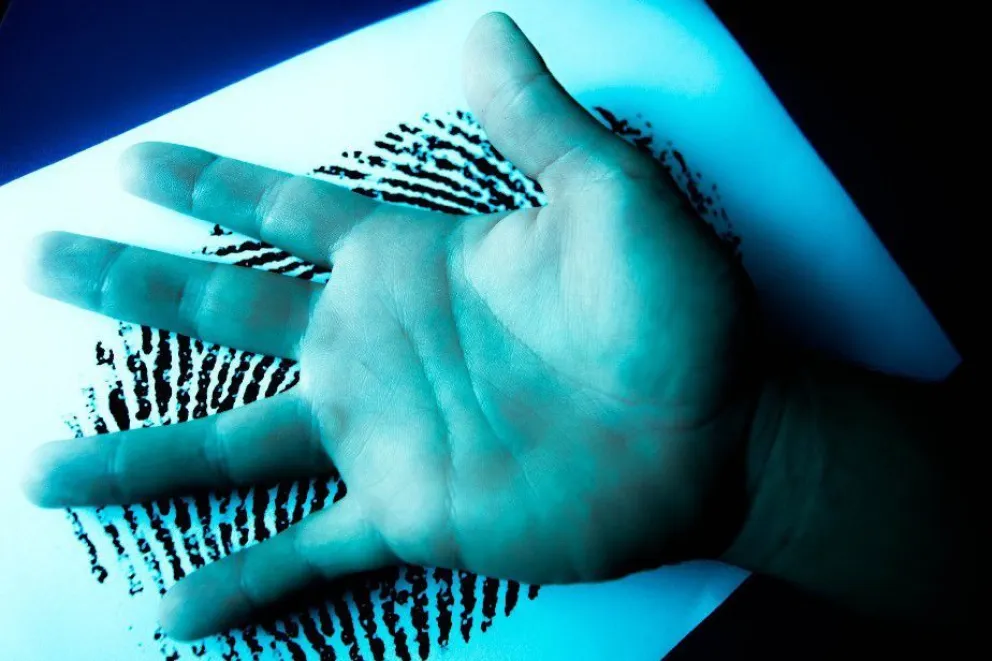 Proponen por ley que reconozca y garantice el derecho a la identidad biológica o de origen