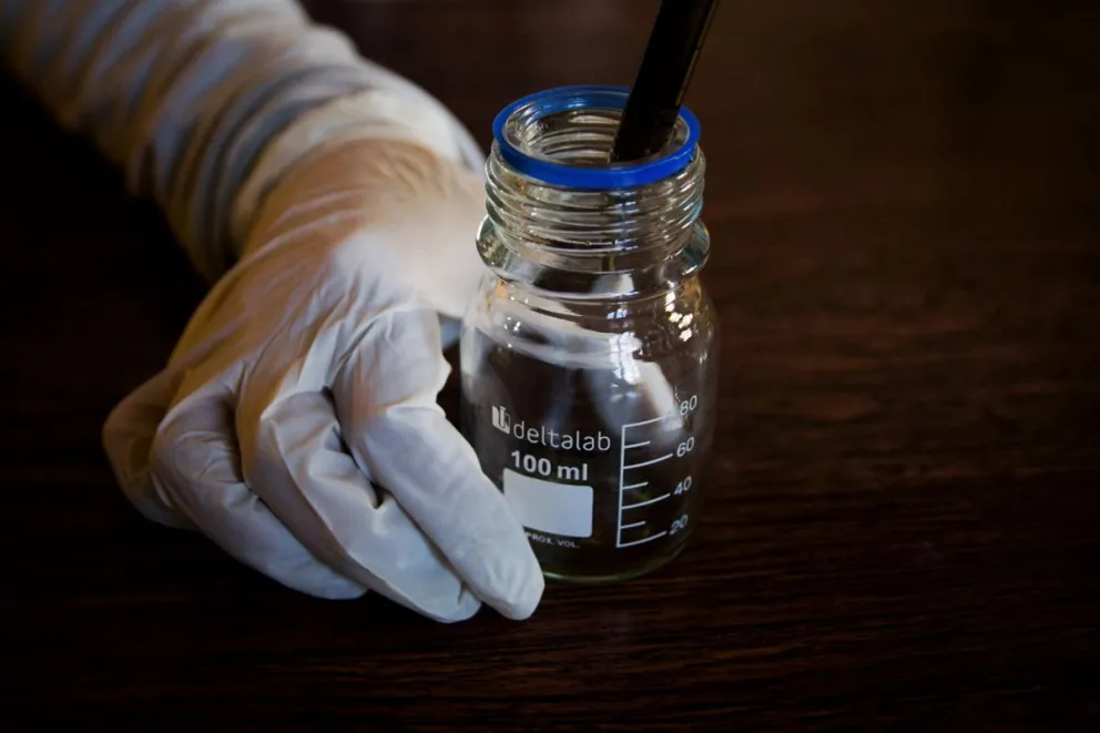 El Gobierno reglamentó el registro de autocultivo de cannabis medicinal