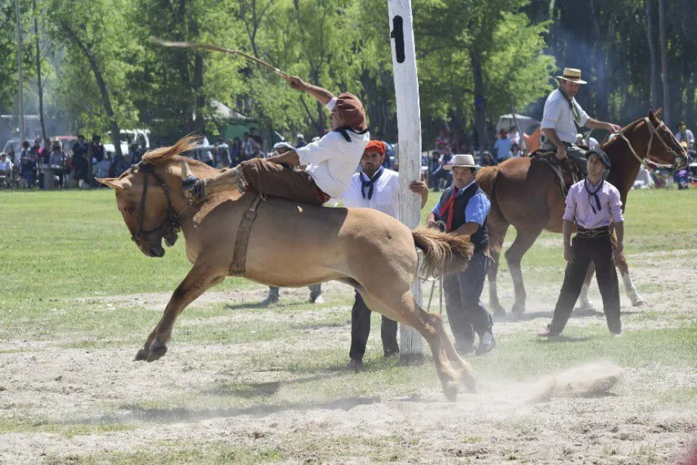 En formato virtual, este fin de semana vuelven las jineteadas