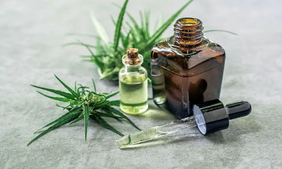 Se aprobó el uso medicinal del cannabis en Río Negro