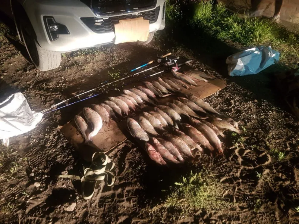 Pesca furtiva: Secuestraron más de 40 truchas