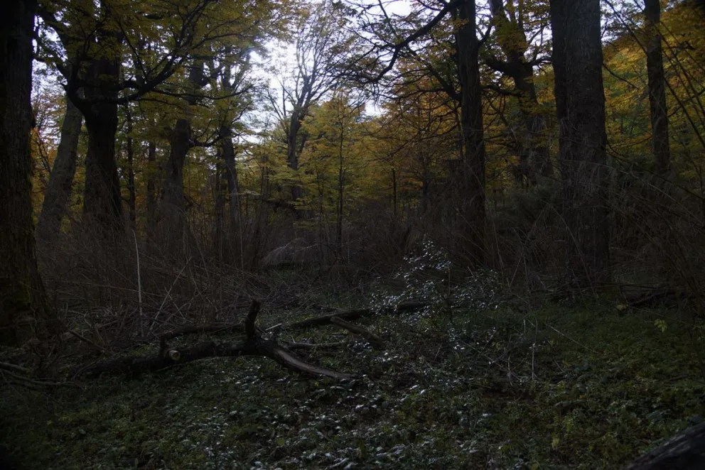 Alerta meteorológica obliga a cerrar senderos