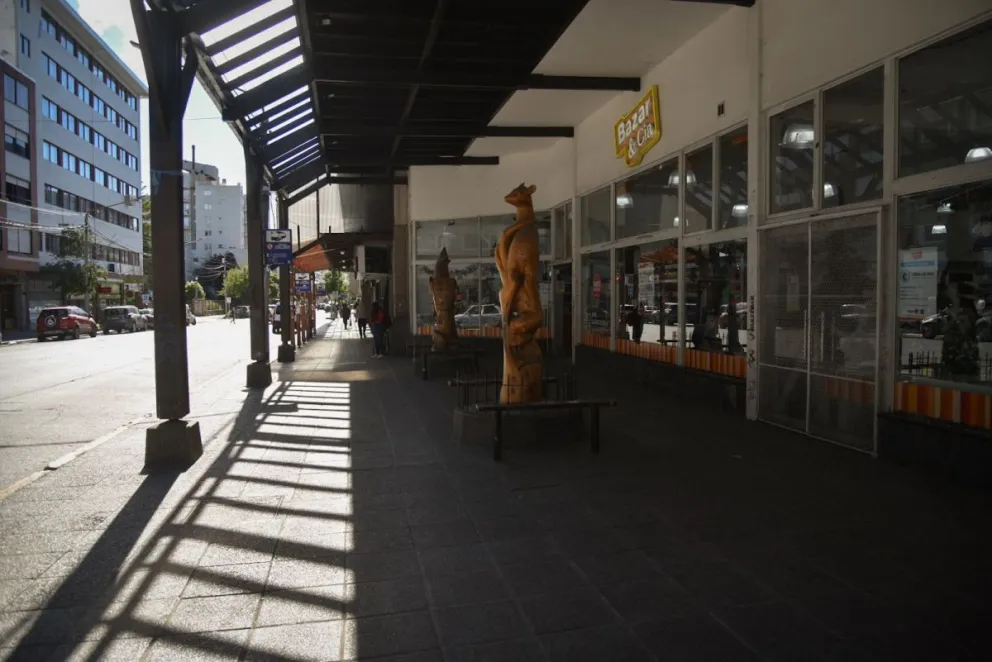 La mitad de los últimos 50 días no hubo transporte público en Bariloche