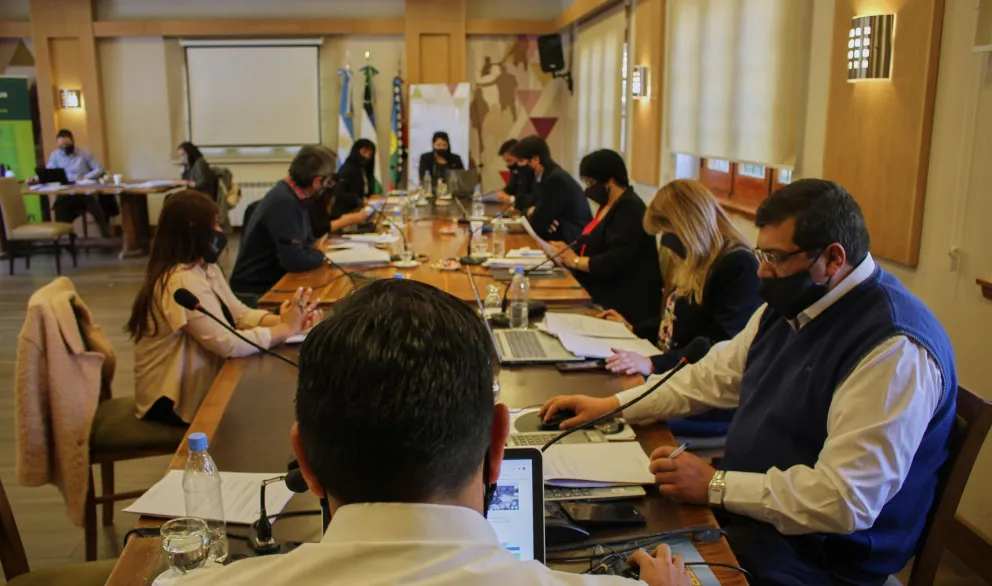 Aprobaron la ordenanza que autoriza el autocultivo y uso medicinal del cannabis en Bariloche