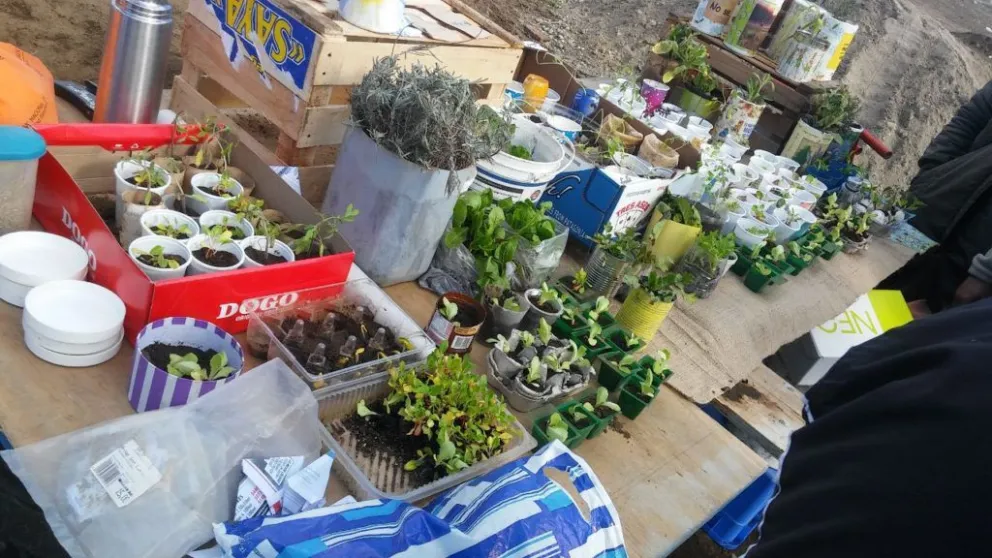 Quedó completo el ciclo de formación virtual de Huerta Agroecológica