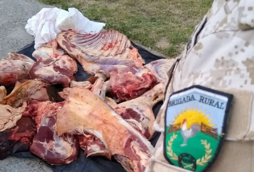 Secuestran unos 200 kilos de carne vacuna faenada clandestinamente