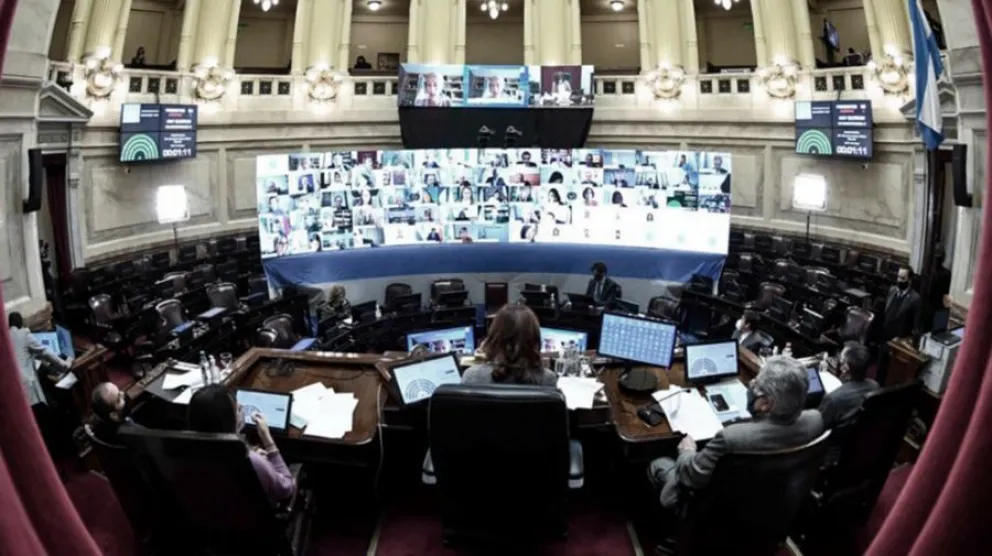 El vivo: Se debate el en Senado la el proyecto de Ley de Interrupción Voluntaria del Embarazo