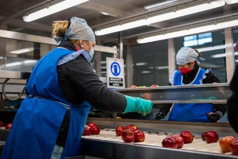 Confirman quita de retenciones para economías regionales y extensión de la emergencia