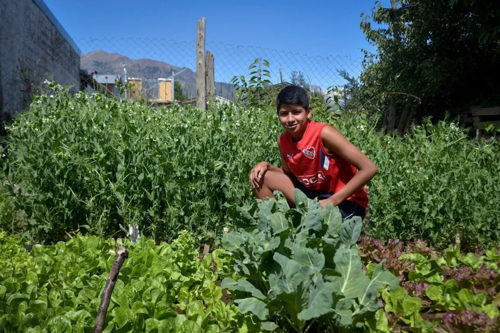 Todo lo que Nahuel sabe de huertas lo aprendió de su papá y su abuela, quienes trabajan en el campo. (Fotos: Marcelo Martínez)