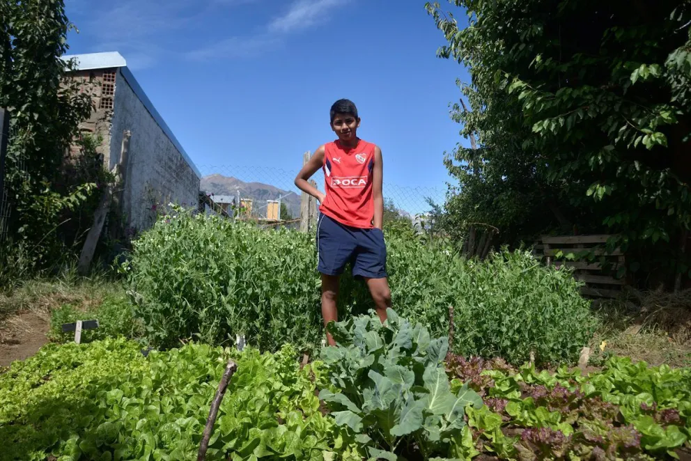 El proyecto de Nahuel y su huerta comenzó a crecer