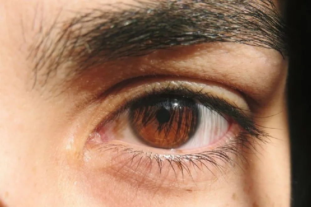 Se realizó el primer operativo de donación del año en la provincia