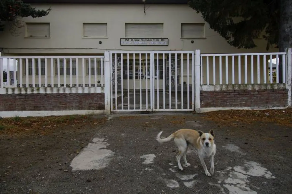 Vacunarán a docentes en febrero para que las clases se inicien "con mayor presencialidad"