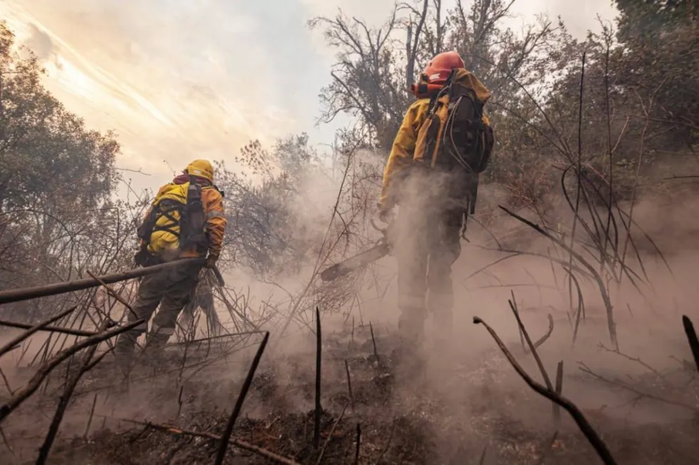 Fotos: Splif Río Negro.