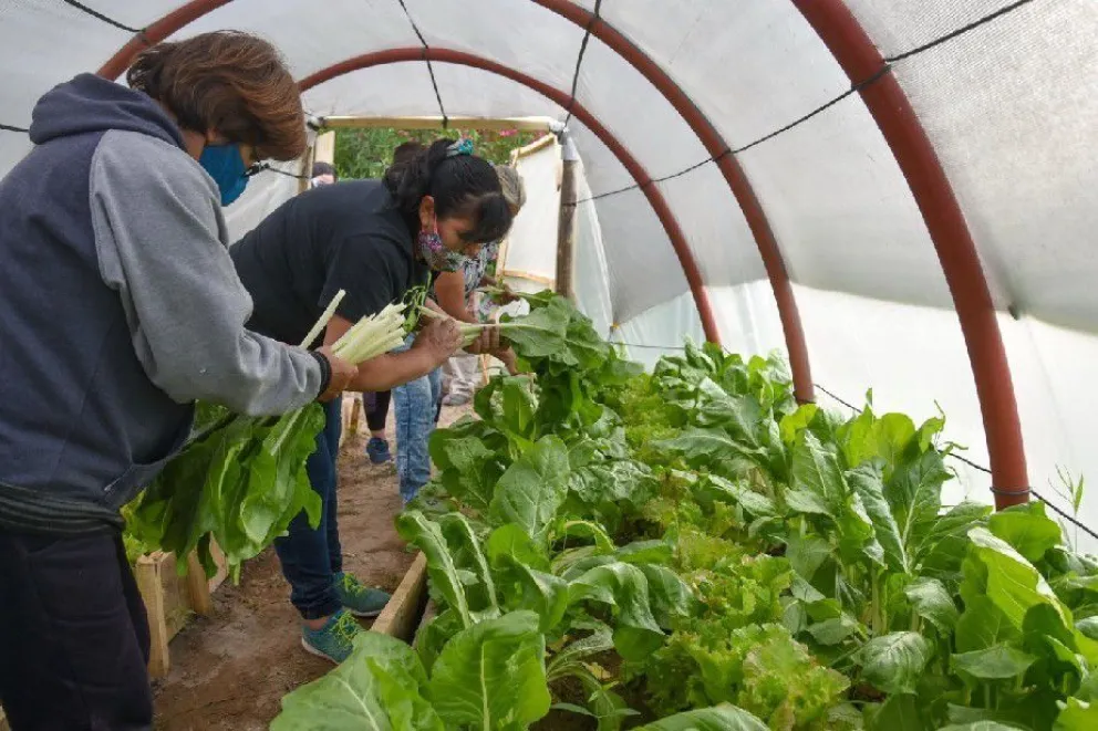 El programa Invernaderos avanza con nuevas capacitaciones