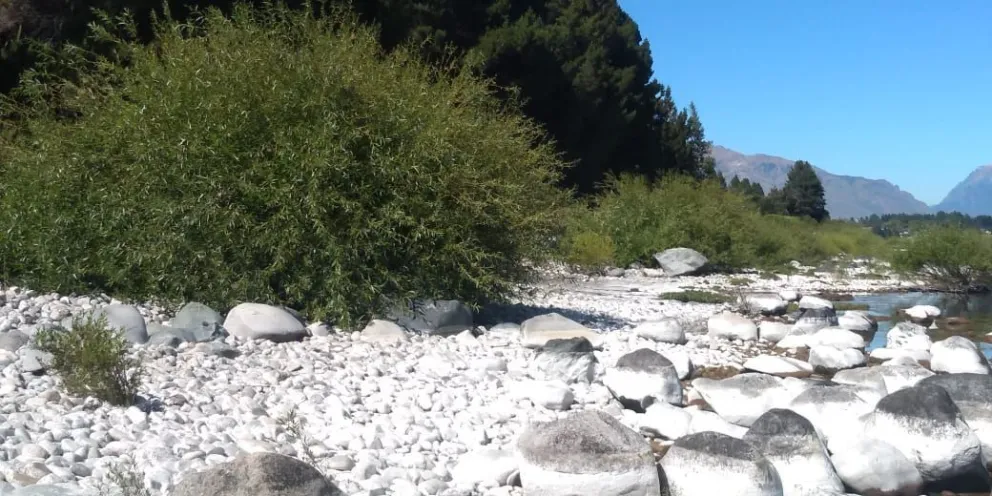 Sobre el lago Nahuel Huapi, sus playas y costas