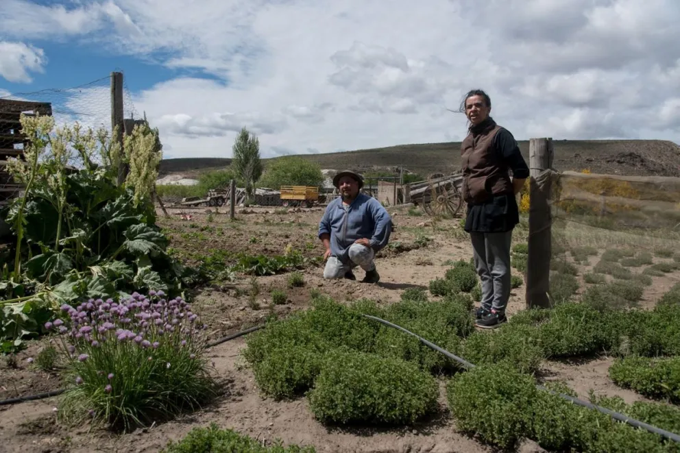 Cada vez hay más familias rurales que apuestan por los emprendimientos.