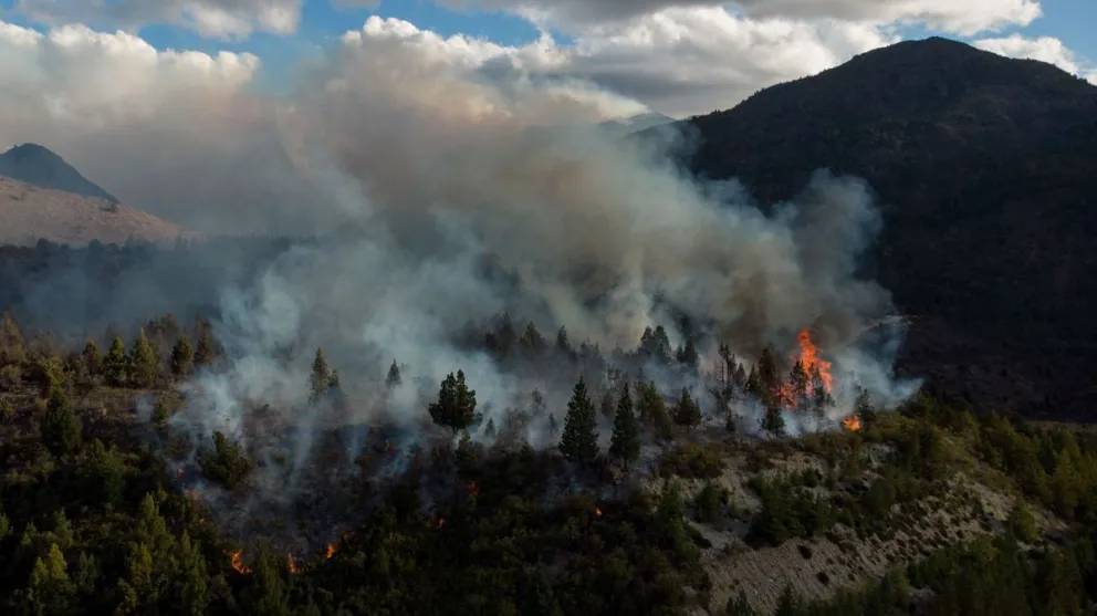 Fotos: Marcelo Martínez. 