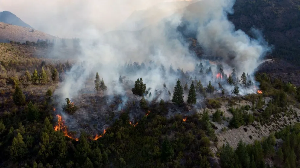 Foto: Marcelo Martínez.