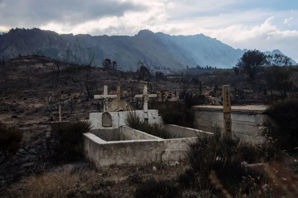 Iniciarán una investigación por posible delito ambiental.