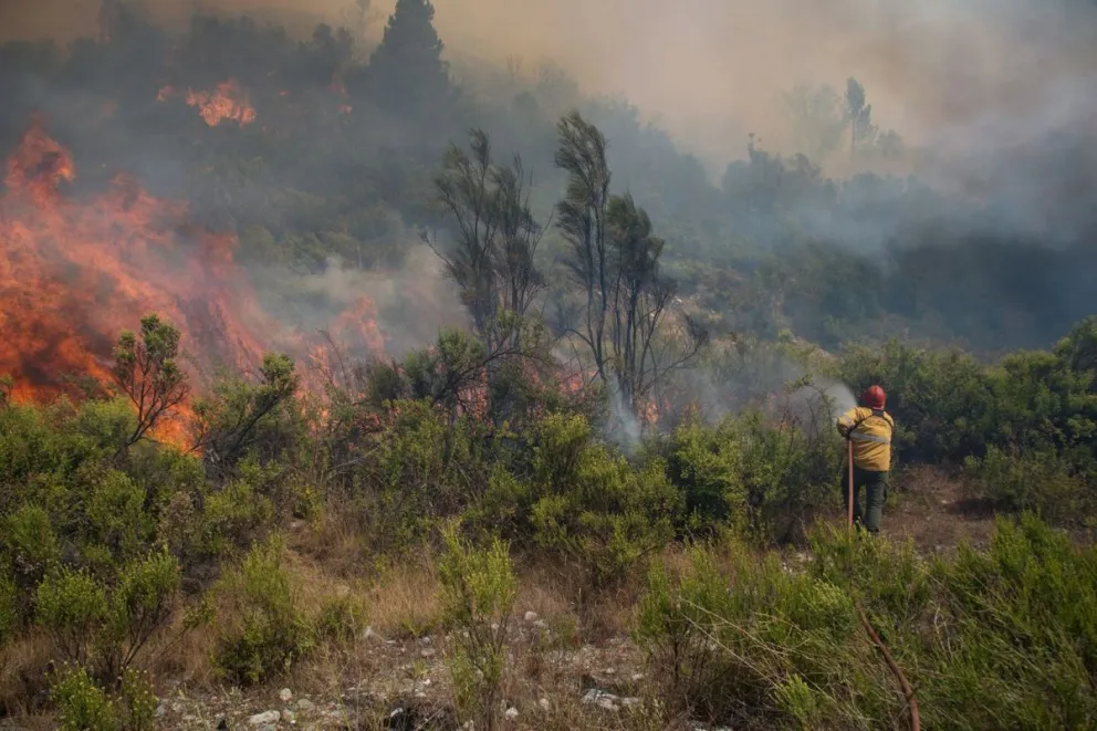 Incendios forestales: Por las altas temperaturas se activan nuevos focos