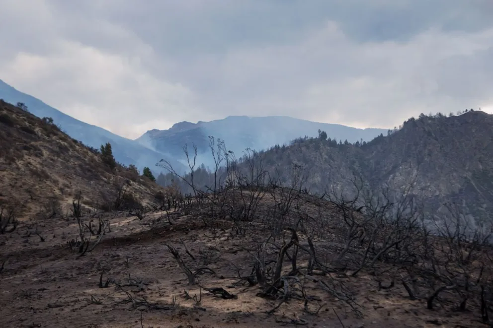 Volvieron a reactivarse algunos focos de incendio en la Comarca Andina